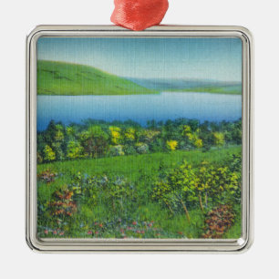 Seneca Point View of the Lake Metal Ornament