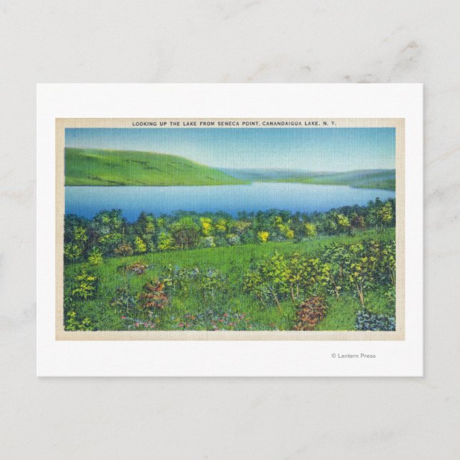 Seneca Point View of the Lake Postcard (Front)