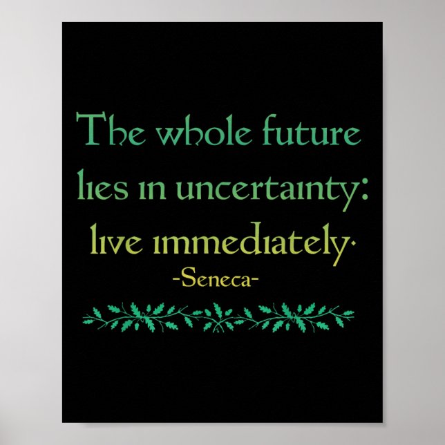 Seneca Quote Live Immediately Stoic Wisdom Philoso Poster (Front)
