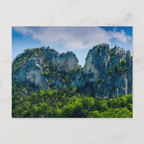 Seneca Rocks in Summer West Virginia Postcard