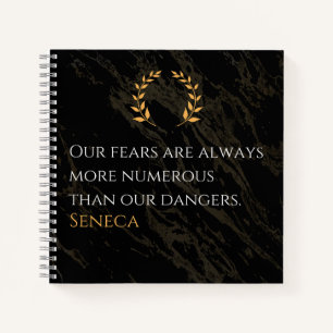 Seneca's Insight: Fears Compared to Real Dangers Notebook