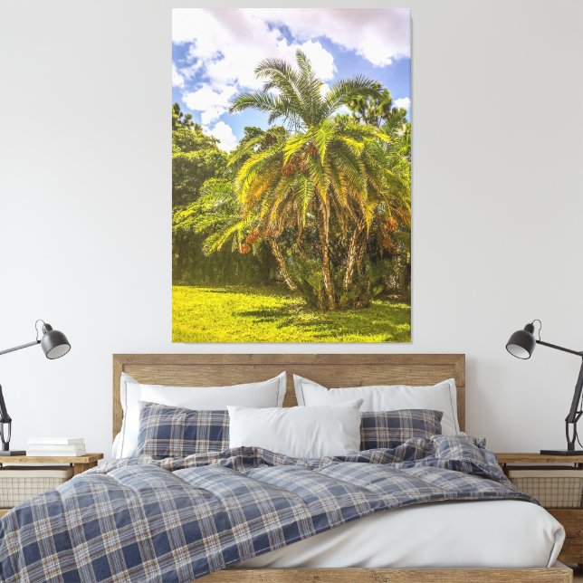 Senegal Date Palm Stretched Canvas Print (Insitu(Bedroom))