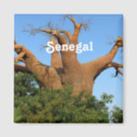 Senegal Magnet