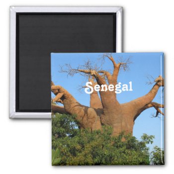 Senegal Magnet by GoingPlaces at Zazzle