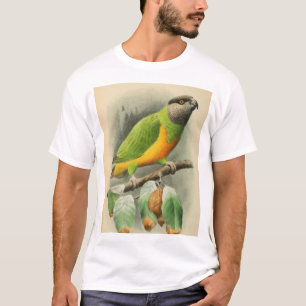 Senegal Parrot, adult male T-Shirt