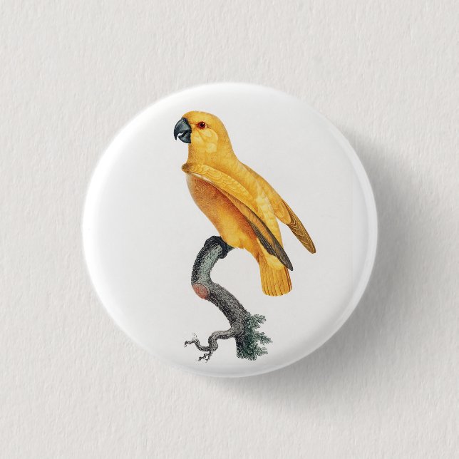 Senegal Parrot Button (Front)