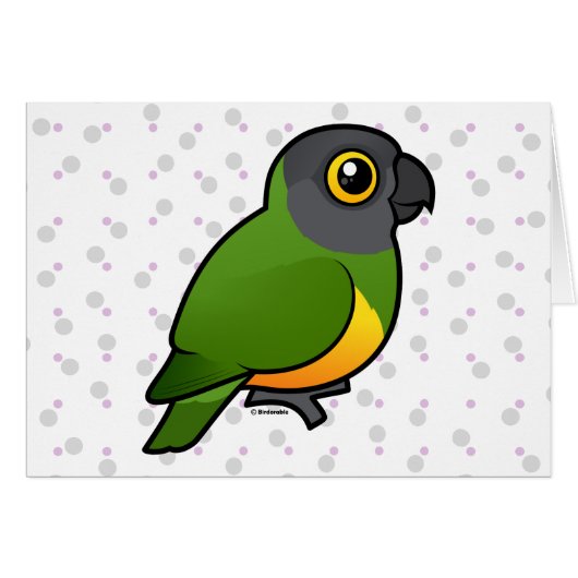Senegal Parrot Cards (Front Horizontal)