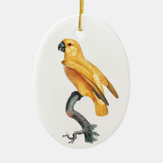 Senegal Parrot Ceramic Ornament (Front)