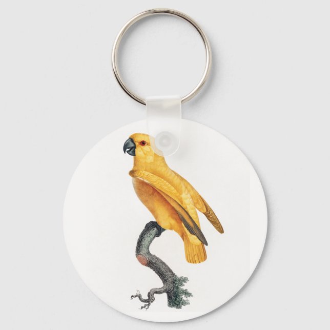 Senegal Parrot Keychain (Front)