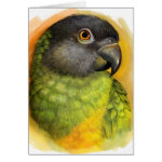 Senegal Parrot Realistic Painting Greeting Card
