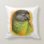 Senegal Parrot Realistic Painting Pillow
