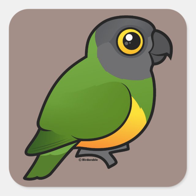 Cute Birdorable Senegal Parrot Square Sticker