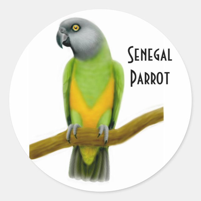Senegal Parrot Sticker (Front)
