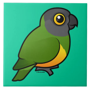 Senegal Parrot Tile