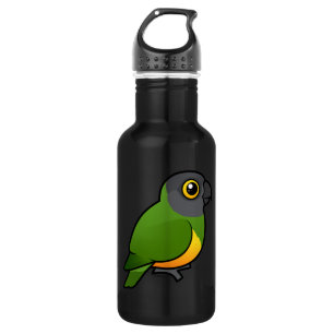 Senegal Parrot Water Bottle