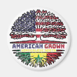 Senegal Senegalese US American USA United States Magnet