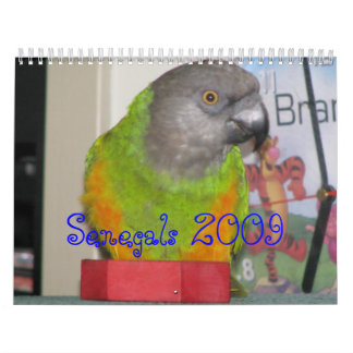 Senegals 2009 Calendar - Customized