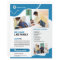 Senior Care Service Flyer Template