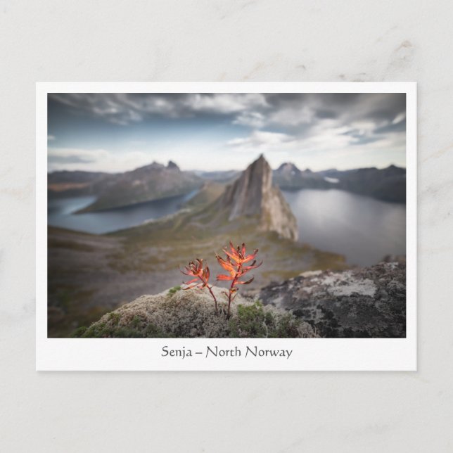 Senja Norway Postcard (Front)