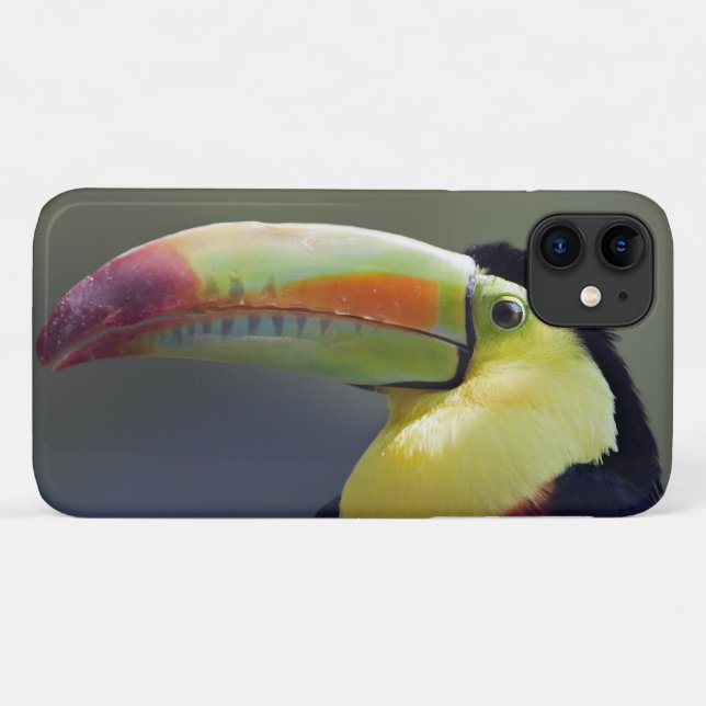 Senor Tuco iPhone 11 Case (Back (Horizontal))