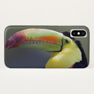 Senor Tuco iPhone X Case