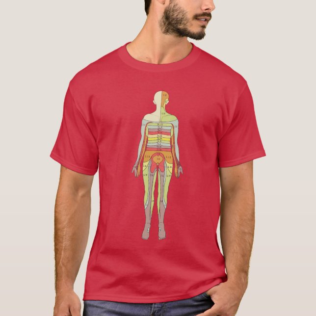 Sensory Dermatome Anatomy Neurology Medical T-Shir T-Shirt (Front)