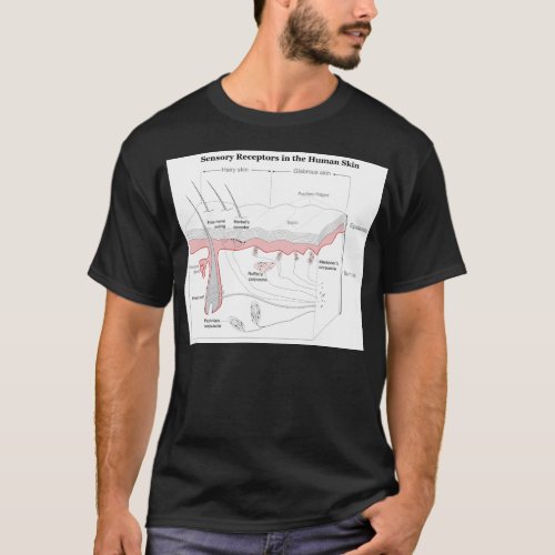 Sensory Receptors in the Human Skin Diagram T_Shirt