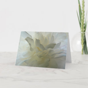 Sensual Delight AH2010 Card