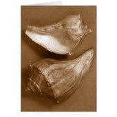 Sensual Shells Cards (Front)