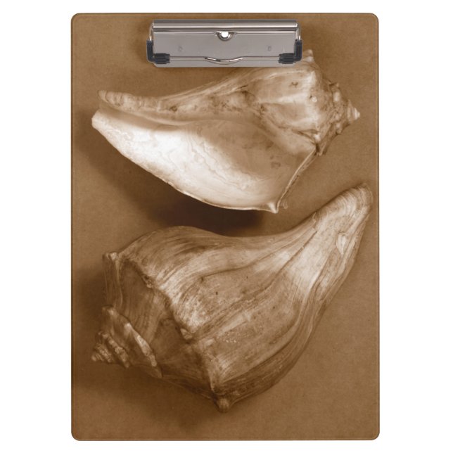 Sensual Shells Clipboard (Front)