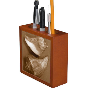 Sensual Shells Desk Organizer
