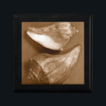 Sensual Shells Jewelry Box<br><div class="desc">Renee W. Stramel captures these conch shells in a beautiful sepia tone. This vintage piece of art is a perfect addition to any sea anemone lovers. Get your art print today on your product.</div>