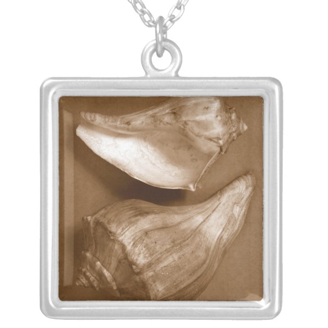 Sensual Shells Silver Plated Necklace (Front)