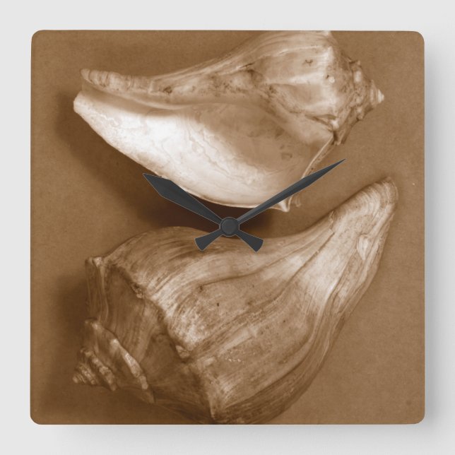 Sensual Shells Square Wall Clock (Front)