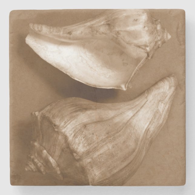Sensual Shells Stone Coaster (Front)
