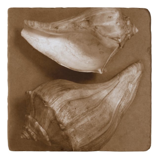 Sensual Shells Trivet (Front)