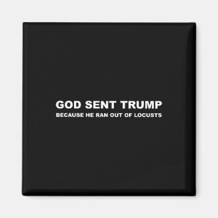 Sent Trump Because He Ran Out Of Locusts Anti-trum Magnet