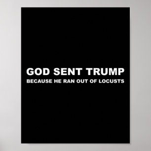 Sent Trump Because He Ran Out Of Locusts Anti-trum Poster