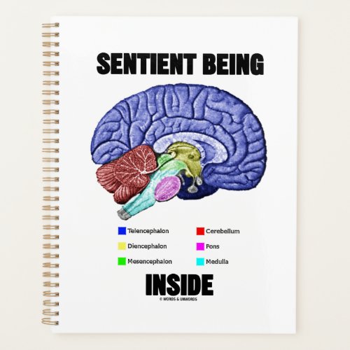 Sentient Being Inside Anatomical Brain Planner