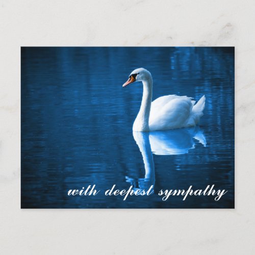 Sentimental Blue Calm Waters Swan Sympathy Postcard