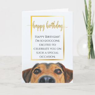 Sentimental Dog Funny Birthday Epic New Lovely  Card