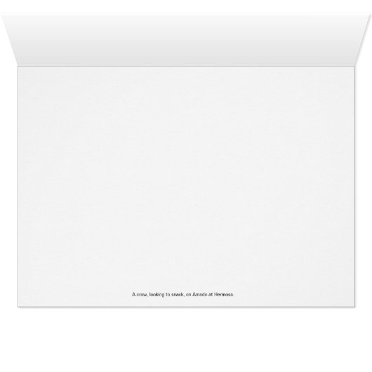 Sentinel (Inside Horizontal (Bottom))