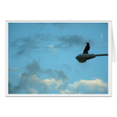 Sentinel (Front Horizontal)