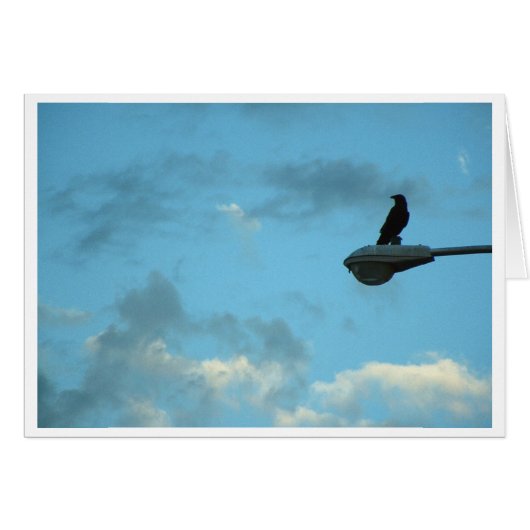 Sentinel (Front Horizontal)