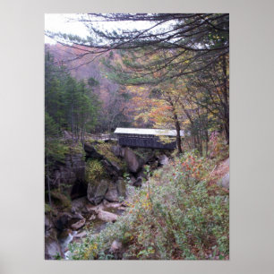 Sentinel Bridge Fall Foliage Poster