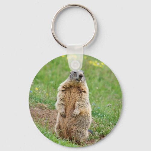 Sentinel marmot keychain