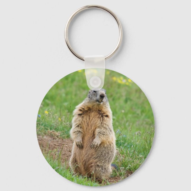 Sentinel marmot keychain (Front)