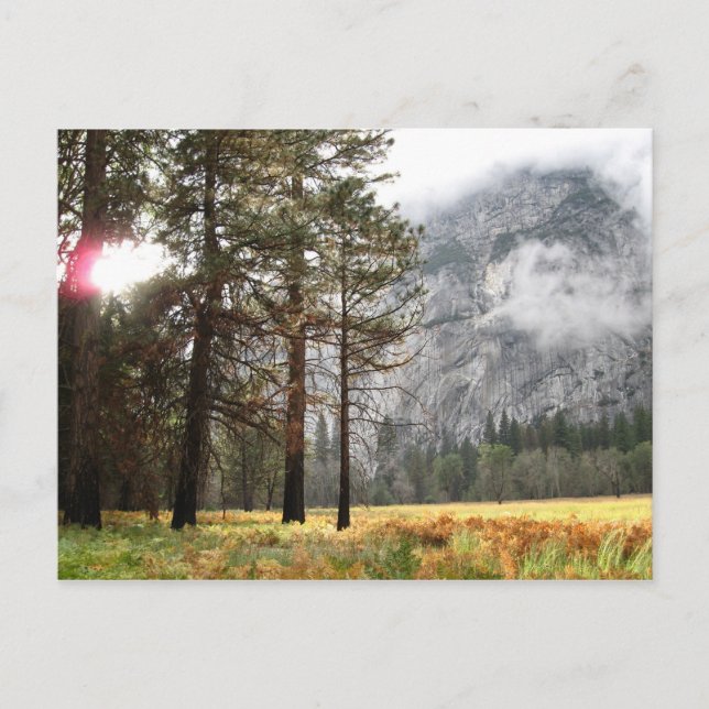 Sentinel Meadow Postcard (Front)