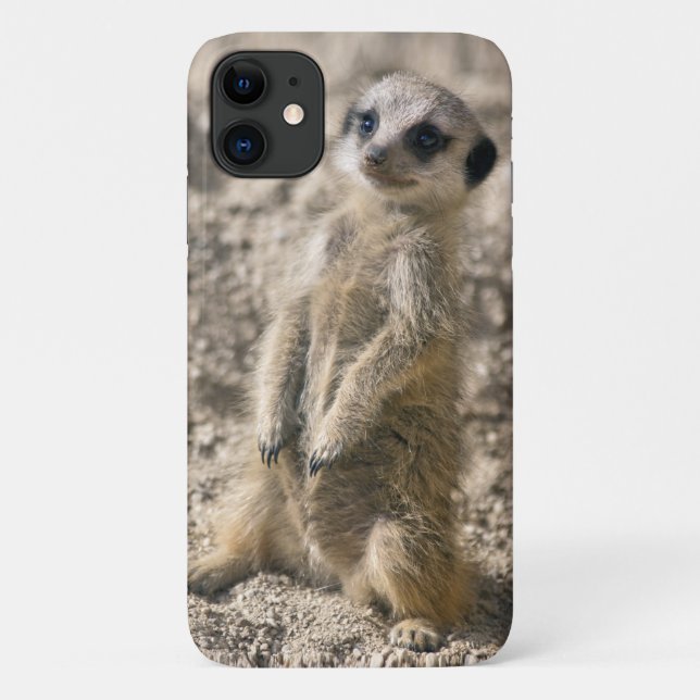 Sentry-in-Training iPhone 11 Case (Back)