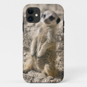 Sentry-in-Training iPhone 5 Case-Mate Case